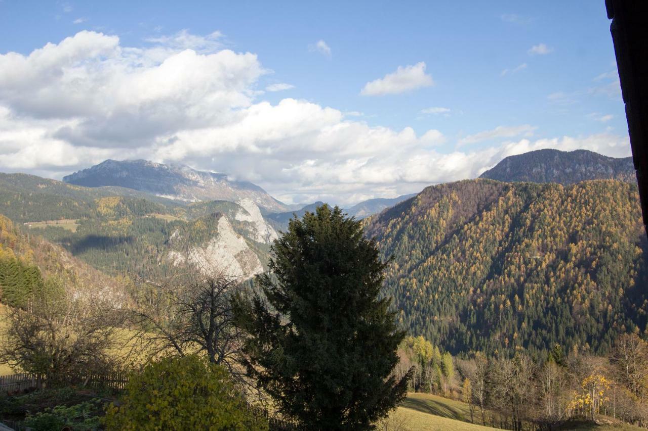 Kmetija Matk Villa Solčava Kültér fotó