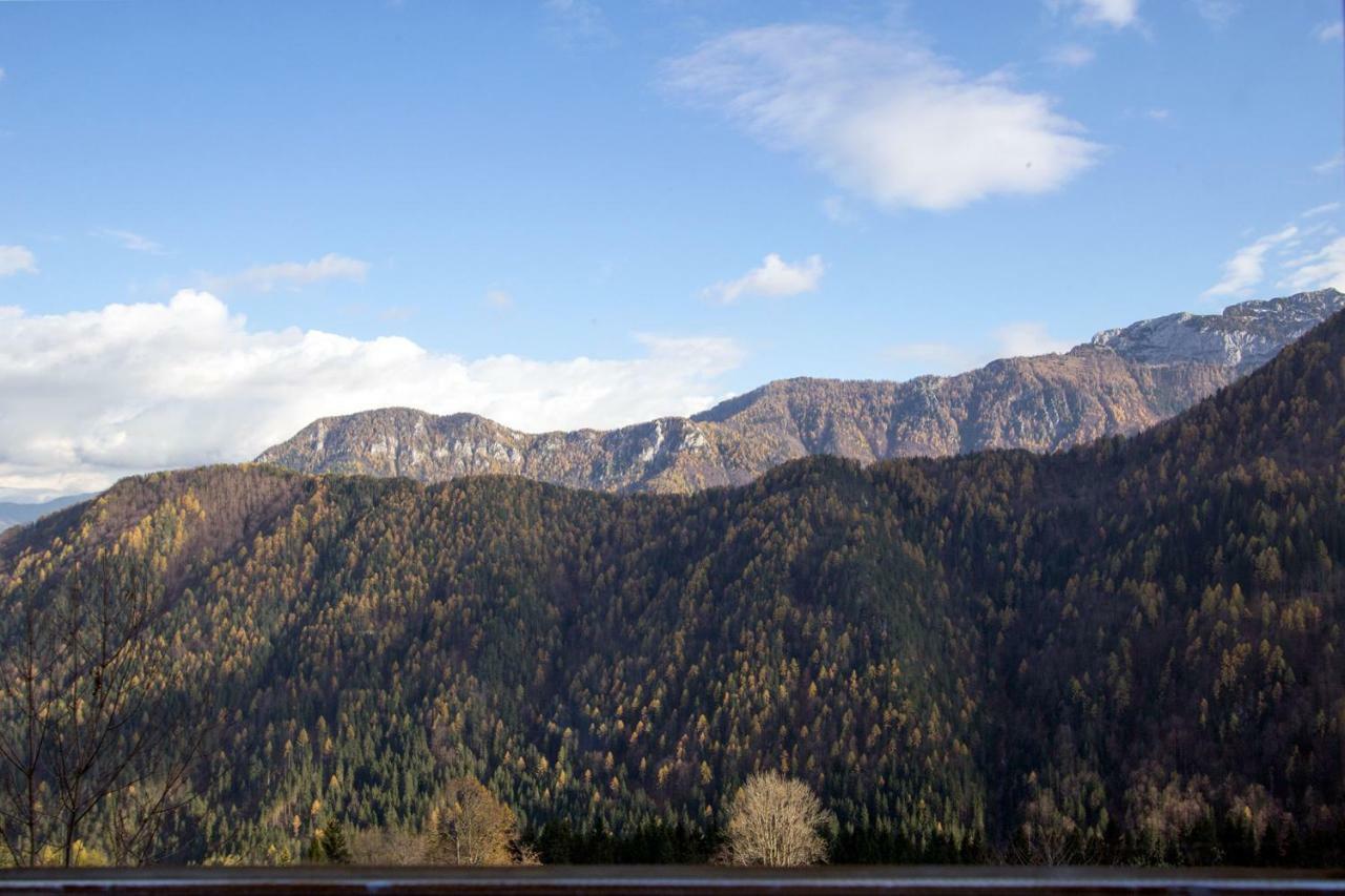 Kmetija Matk Villa Solčava Kültér fotó