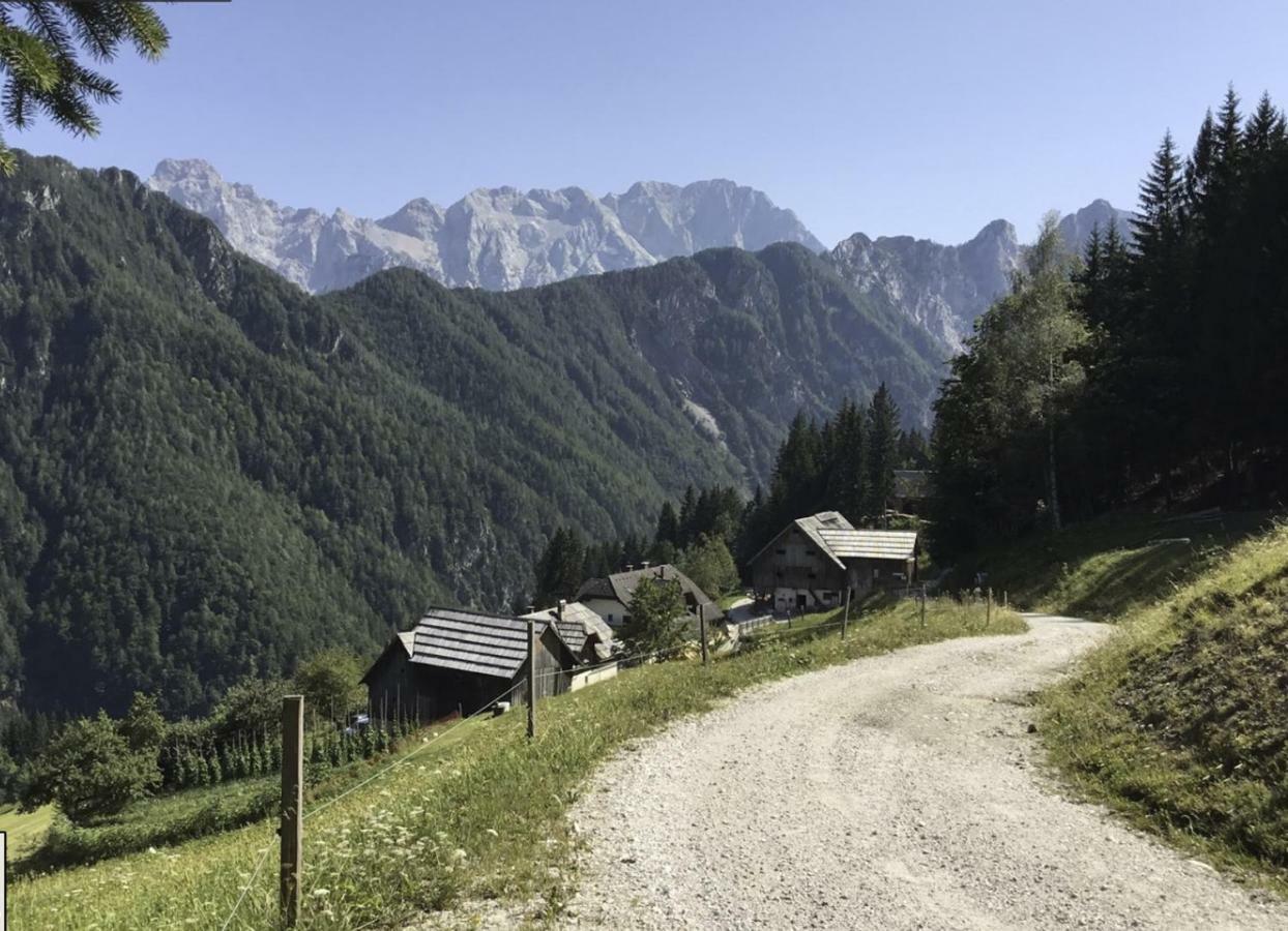 Kmetija Matk Villa Solčava Kültér fotó