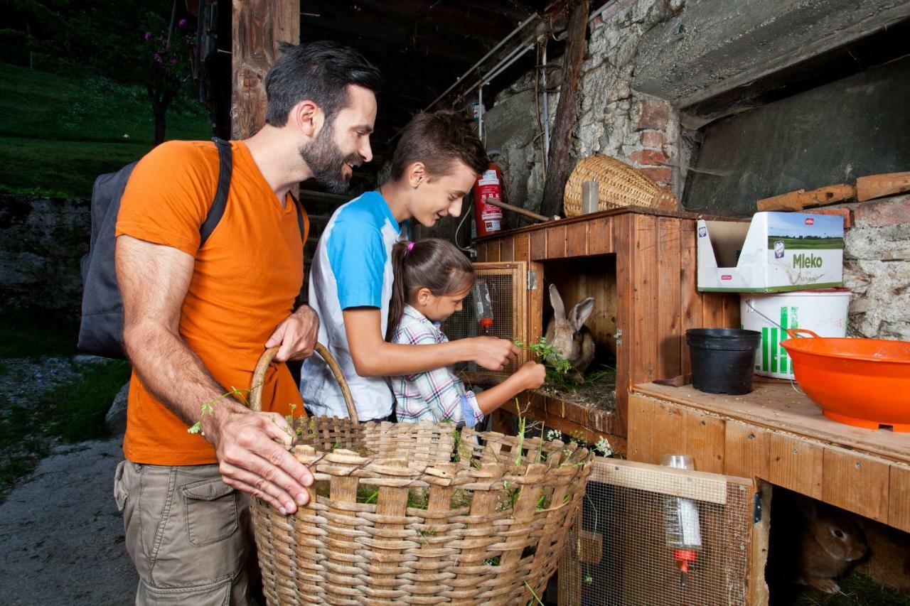 Kmetija Matk Villa Solčava Kültér fotó