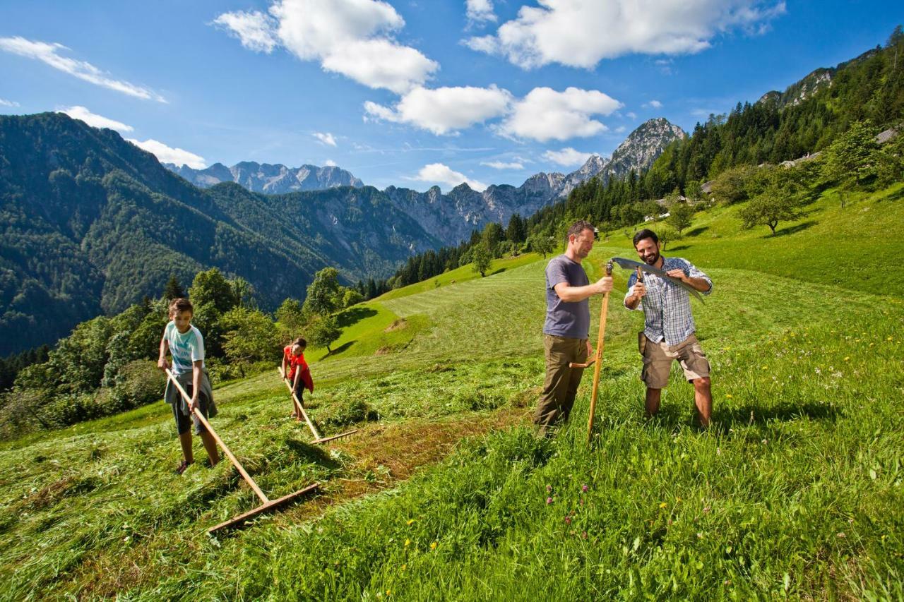 Kmetija Matk Villa Solčava Kültér fotó