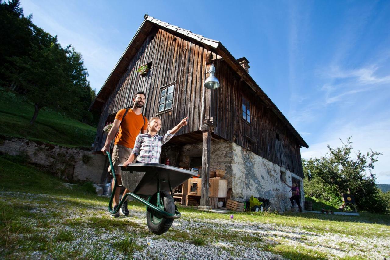 Kmetija Matk Villa Solčava Kültér fotó